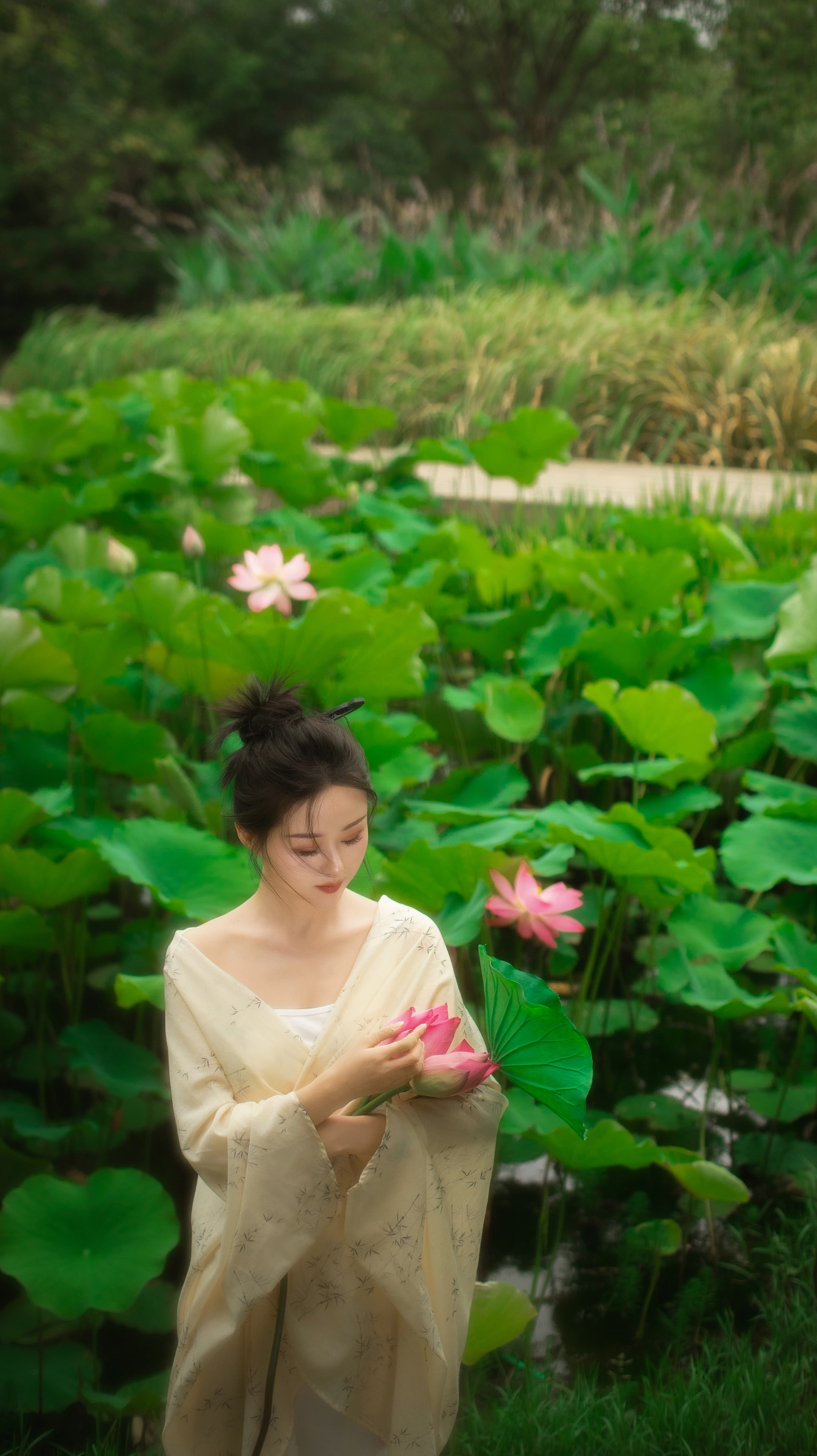 [YITUYU艺图语]2024.10.13 夏至未至，娇荷已开 二十四时 1